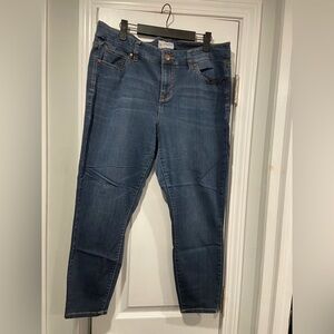 Molly & Isadora Size 16 Cotton Blend Stretchy Zip Up Medium Wash Denim Jeans